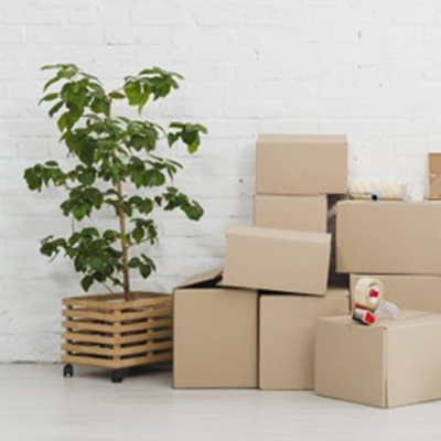 Umzugsreinigung mit Übergabegarantie